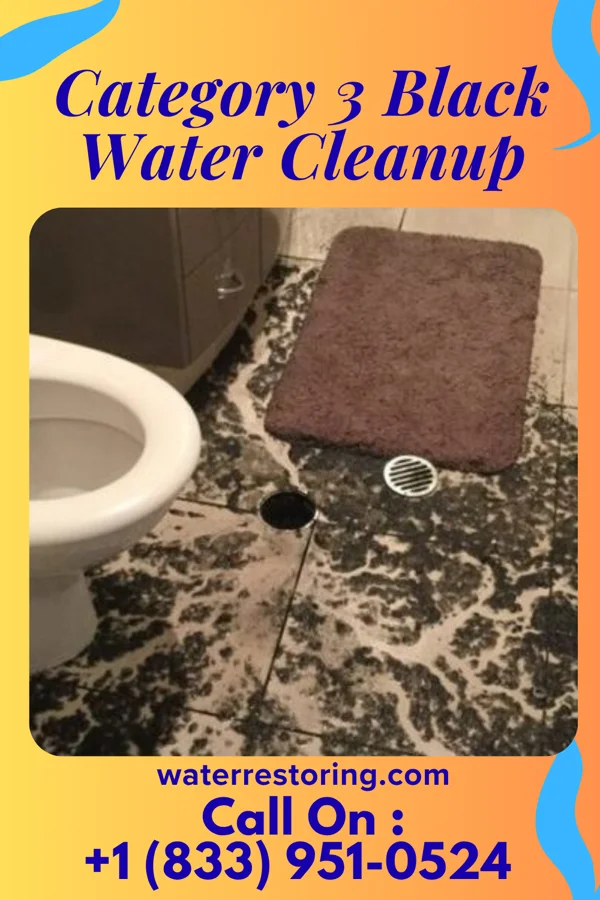 Category 3 Black Water Cleanup in Sunset Beach, NC