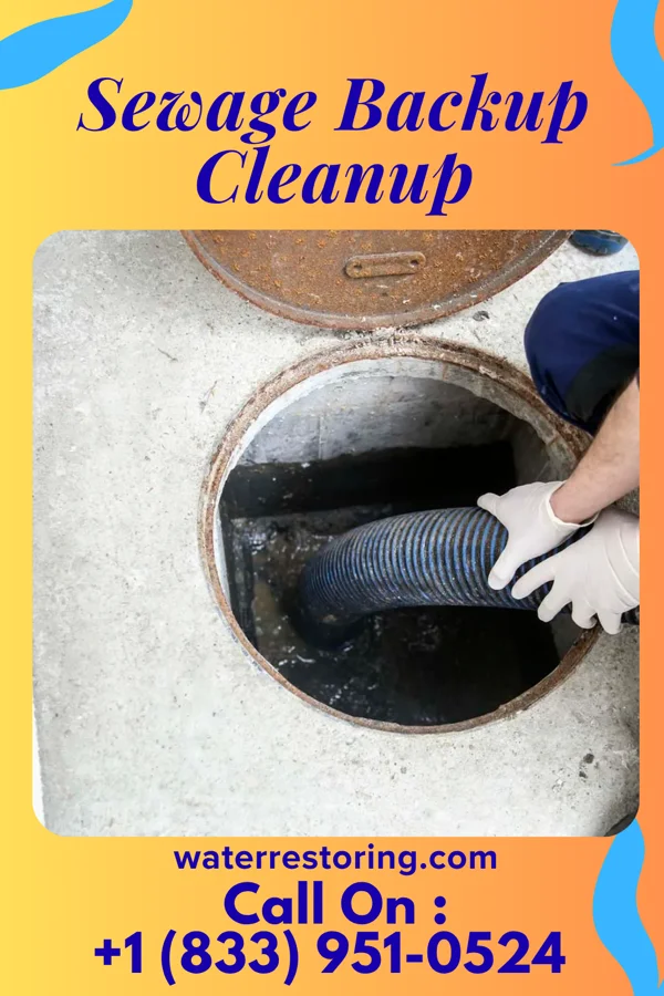 Sewage Backup Cleanup in Sunset Beach, NC